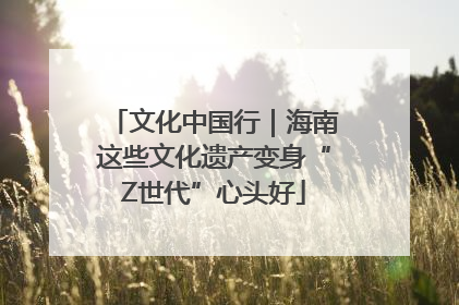 文化中国行｜海南这些文化遗产变身“Z世代”心头好