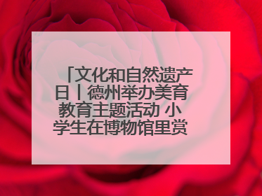 文化和自然遗产日丨德州举办美育教育主题活动 小学生在博物馆里赏文物画文物