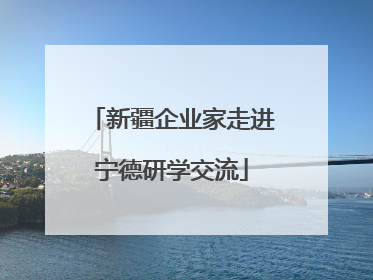 新疆企业家走进宁德研学交流
