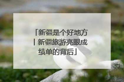 新疆是个好地方丨新疆旅游亮眼成绩单的背后