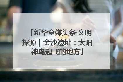 新华全媒头条·文明探源｜金沙遗址：太阳神鸟起飞的地方