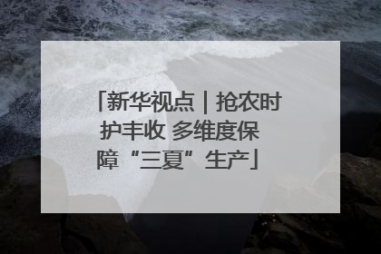 新华视点｜抢农时 护丰收 多维度保障“三夏”生产