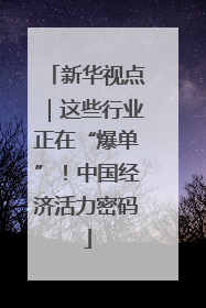 新华视点｜这些行业正在“爆单”！中国经济活力密码