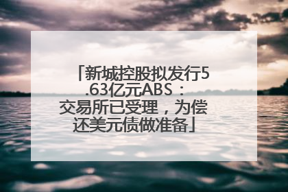 新城控股拟发行5.63亿元ABS：交易所已受理，为偿还美元债做准备