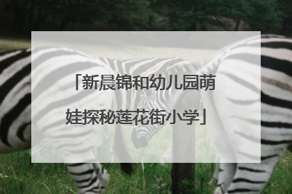 新晨锦和幼儿园萌娃探秘莲花街小学