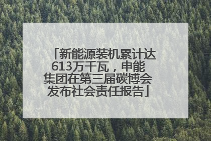 新能源装机累计达613万千瓦，申能集团在第三届碳博会发布社会责任报告