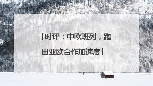 时评：中欧班列，跑出亚欧合作加速度