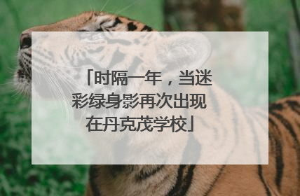 时隔一年，当迷彩绿身影再次出现在丹克茂学校