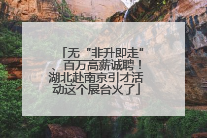 无“非升即走”、百万高薪诚聘！湖北赴南京引才活动这个展台火了