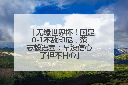 无缘世界杯！国足0-1不敌印尼，范志毅语塞：早没信心了但不甘心