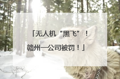 无人机“黑飞”！赣州一公司被罚！