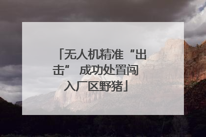 无人机精准“出击” 成功处置闯入厂区野猪