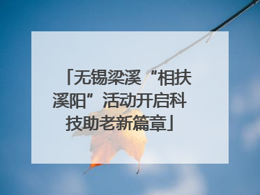 无锡梁溪“相扶溪阳”活动开启科技助老新篇章