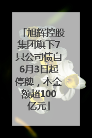 旭辉控股集团旗下7只公司债自6月3日起停牌，本金额超100亿元