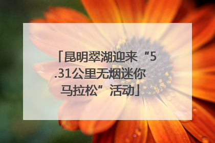 昆明翠湖迎来“5.31公里无烟迷你马拉松”活动
