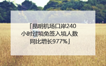 昆明机场口岸240小时过境免签入境人数同比增长977%