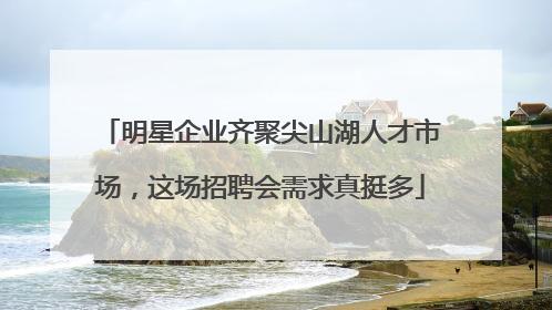 明星企业齐聚尖山湖人才市场，这场招聘会需求真挺多
