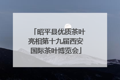 昭平县优质茶叶亮相第十九届西安国际茶叶博览会