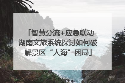 智慧分流+应急联动 湖南文旅系统探讨如何破解景区“人海”困局