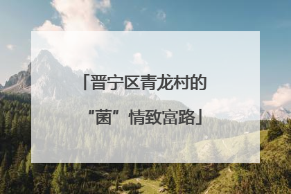 晋宁区青龙村的“菌”情致富路