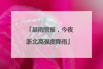 暴雨警报，今夜浙北高强度降雨