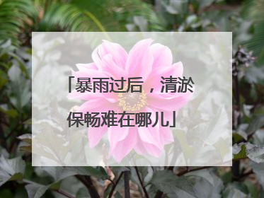 暴雨过后，清淤保畅难在哪儿