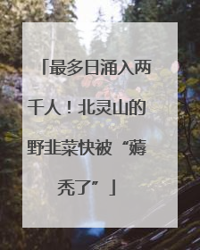 最多日涌入两千人！北灵山的野韭菜快被“薅秃了”