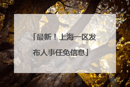 最新！上海一区发布人事任免信息