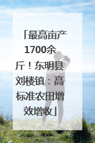 最高亩产1700余斤！东明县刘楼镇：高标准农田增效增收