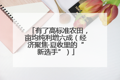 有了高标准农田，亩均纯利增六成（经济聚焦·夏收里的“新选手”）