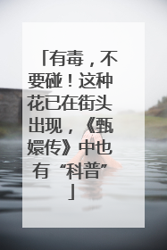有毒，不要碰！这种花已在街头出现，《甄嬛传》中也有“科普”
