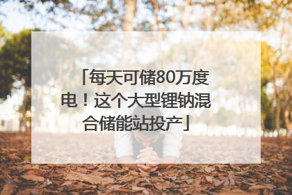 每天可储80万度电！这个大型锂钠混合储能站投产