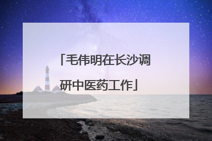 毛伟明在长沙调研中医药工作