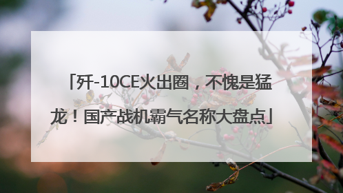歼-10CE火出圈，不愧是猛龙！国产战机霸气名称大盘点