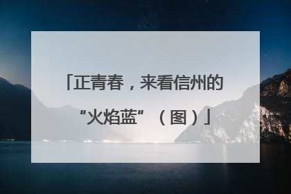 正青春，来看信州的“火焰蓝”（图）