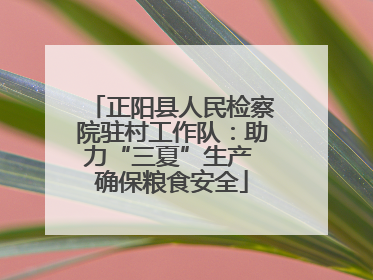 正阳县人民检察院驻村工作队：助力“三夏”生产 确保粮食安全