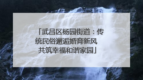 武昌区杨园街道：传统民俗邂逅婚育新风 共筑幸福和谐家园