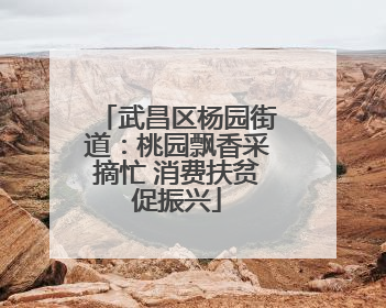 武昌区杨园街道：桃园飘香采摘忙 消费扶贫促振兴