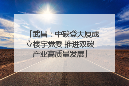 武昌：中碳登大厦成立楼宇党委 推进双碳产业高质量发展