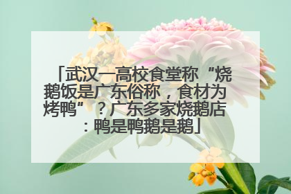武汉一高校食堂称“烧鹅饭是广东俗称，食材为烤鸭”？广东多家烧鹅店：鸭是鸭鹅是鹅