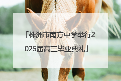 株洲市南方中学举行2025届高三毕业典礼