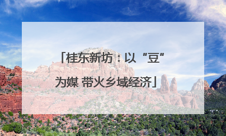桂东新坊：以“豆”为媒 带火乡域经济