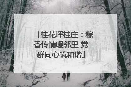 桂花坪桂庄：粽香传情暖邻里 党群同心筑和谐