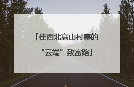 桂西北高山村寨的“云端”致富路