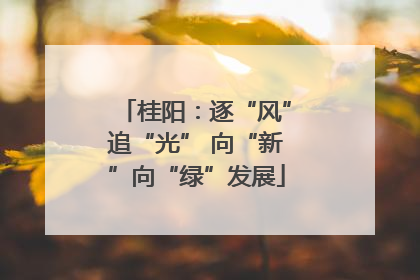 桂阳：逐“风”追“光” 向“新”向“绿”发展