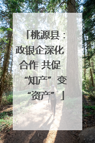 桃源县：政银企深化合作 共促“知产”变“资产”