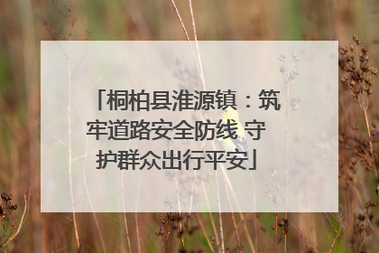 桐柏县淮源镇：筑牢道路安全防线 守护群众出行平安