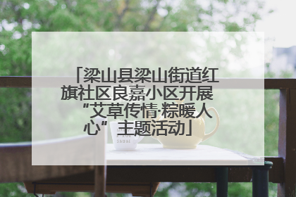 梁山县梁山街道红旗社区良嘉小区开展“艾草传情·粽暖人心”主题活动