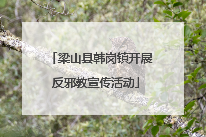 梁山县韩岗镇开展反邪教宣传活动