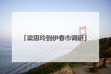梁惠玲到伊春市调研
